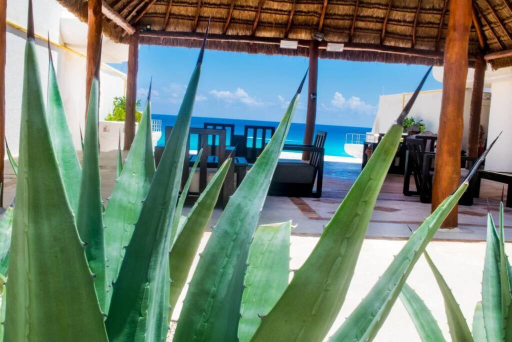 Villas Marlin 108, A Pie De Playa, Albercas, Jacuzi, Ubicacion Inmejorable Cancún Extérieur photo