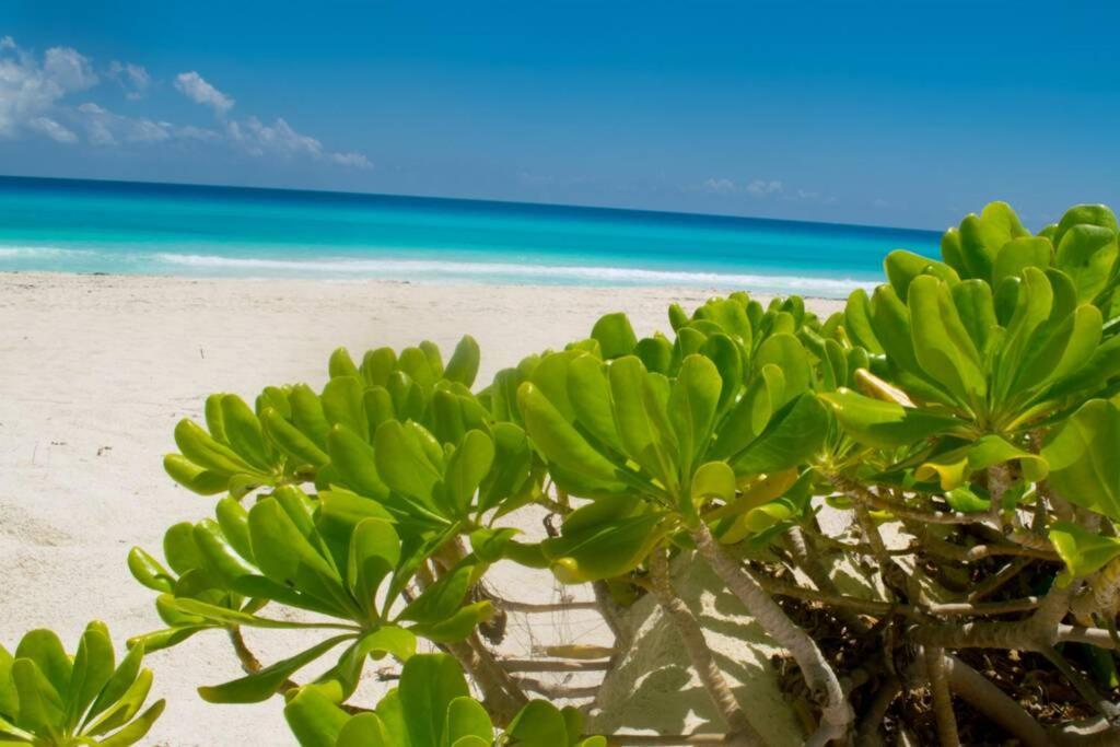 Villas Marlin 108, A Pie De Playa, Albercas, Jacuzi, Ubicacion Inmejorable Cancún Extérieur photo